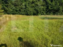 Teren, 700 mp pentru cabanute , toate utilitățile in Fele