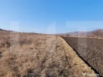 Teren intravilan, 6800 mp, Jucu