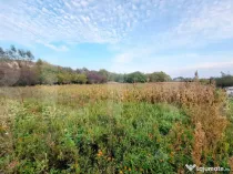 Teren extravilan de 4261 mp, Valea Chintaului