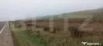 Teren 7700mp, situat la soseaua principala E58