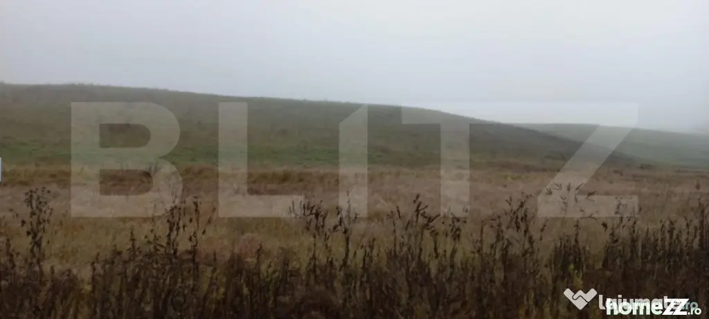 Teren 7700mp, situat la soseaua principala E58 - Bistrita (Bistrita-Nasaud)
