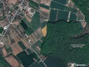 Vindem loturi de teren cu deschidere la padurea Snagov 