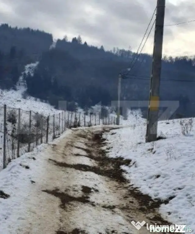 Teren de vanzare, destinatie constructii turistice, Bunloc, - Sacele (Brasov)
