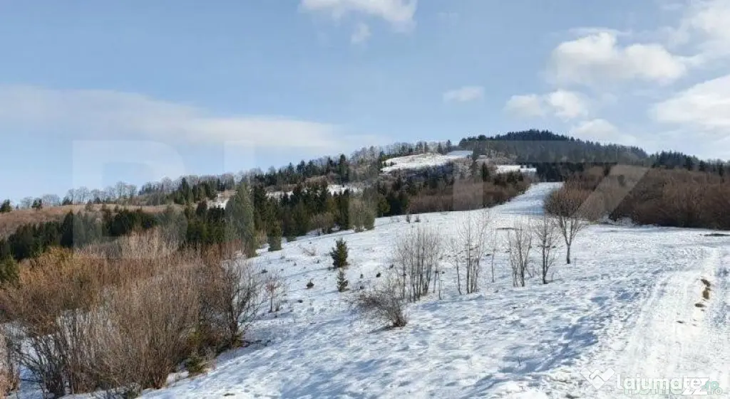 Teren de vanzare, destinatie constructii turistice, Bunloc, - Sacele (Brasov)