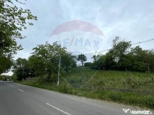 Casă și Teren Generos la Granița cu Republica Moldova! - Oancea (Galati)