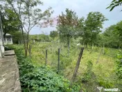 Casă și Teren Generos la Granița cu Republica Moldova! 
