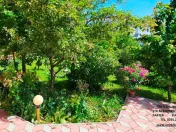 Proprietate moderna multifunctionala Piatra Neamt 