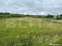 Teren intravilan pentru investit 5200 mp