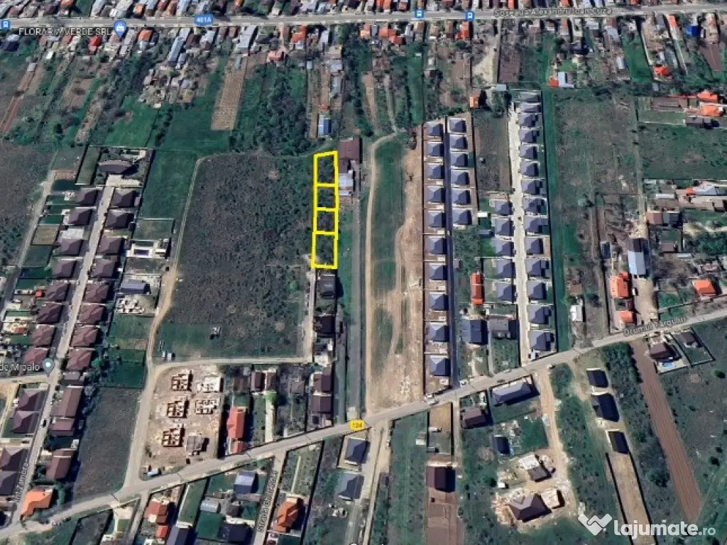 Domnesti - Ciutaci, vanzare 4 loturi de teren intravilan