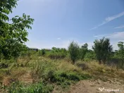 Domnesti - Ciutaci, vanzare 4 loturi de teren intravilan 