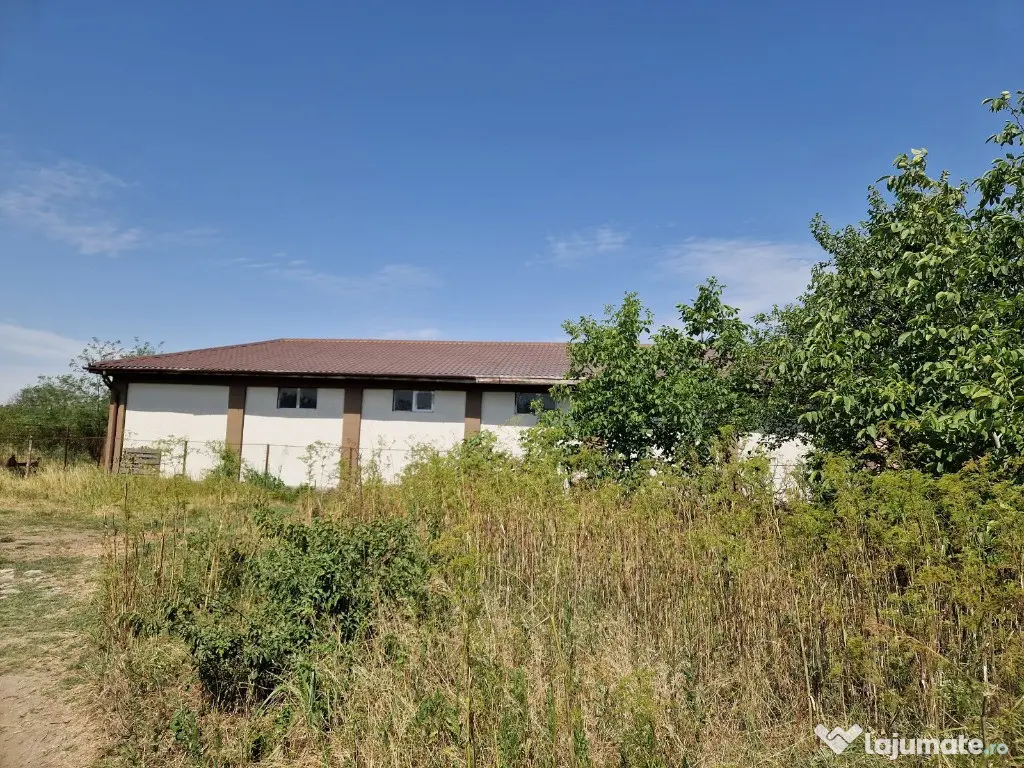 Domnesti - Ciutaci, vanzare 4 loturi de teren intravilan