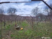 Casa Racoasa Vrancea 