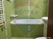 Apartament de inchiriat Dr Taberei/ Parcul Moghioros/Mili... 