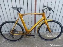 Bicicleta Avenue