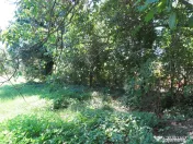 Loc de casa - Covasant 