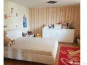 Inchiriere Vila P+1+M in Jilava 