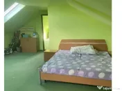 Inchiriere Vila P+1+M in Jilava 