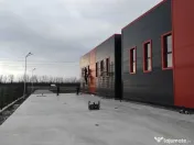 Hale noi PRET BOMBA ( 2 bucati ) 538 mp buc. Frumusani- A... 