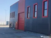 Hale noi PRET BOMBA ( 2 bucati ) 538 mp buc. Frumusani- A... 