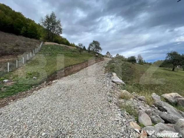 Teren intravilan 1,1 Ha, zona Bargau - Bistrita (Bistrita-Nasaud)