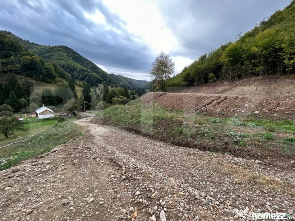 Teren intravilan 1,1 Ha, zona Bargau - Bistrita (Bistrita-Nasaud)