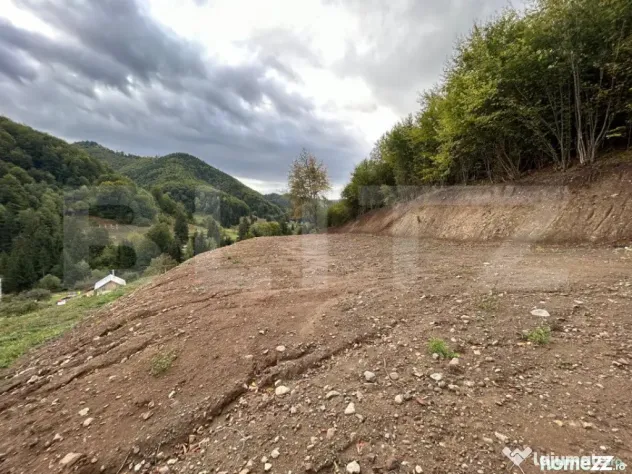 Teren intravilan 1,1 Ha, zona Bargau - Bistrita (Bistrita-Nasaud)