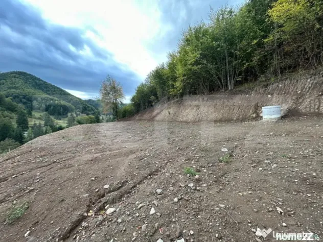 Teren intravilan 1,1 Ha, zona Bargau - Bistrita (Bistrita-Nasaud)