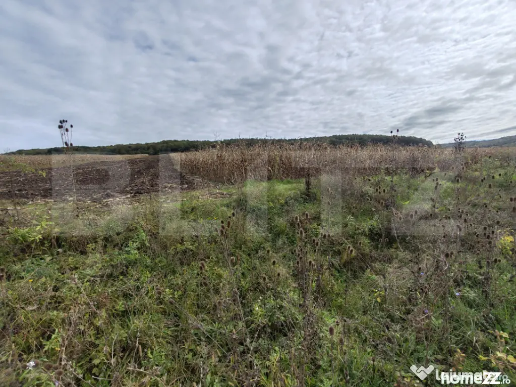 Teren intravilan de vanzare - Zalau (Salaj)
