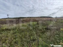 Teren intravilan de vanzare