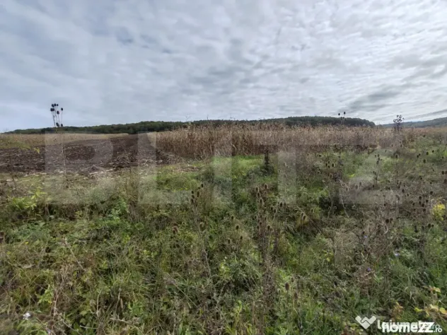 Teren intravilan de vanzare - Zalau (Salaj)