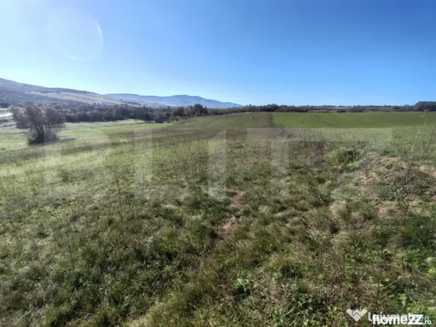 Teren intravilan de vanzare - Zalau (Salaj)