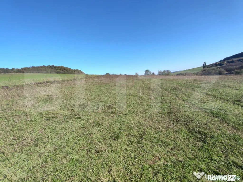 Teren intravilan de vanzare - Zalau (Salaj)