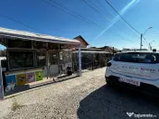 Casă / Vilă cu 3 camere de vânzare 