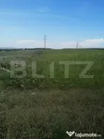 EXCLUSIVITATE ! Teren intravilan , 2900 mp , Jucu de Sus