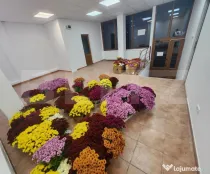 Spatiu comercial de inchiriat, 60 mp, zona-centrala