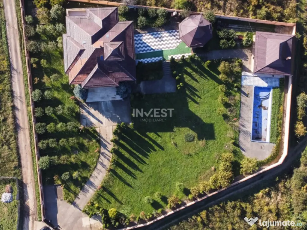 Proprietate Unică de Vânzare în Vișani, Iași – Reșed