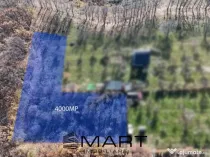 Teren de 4000 mp în Pădurea Tufari, Sadu