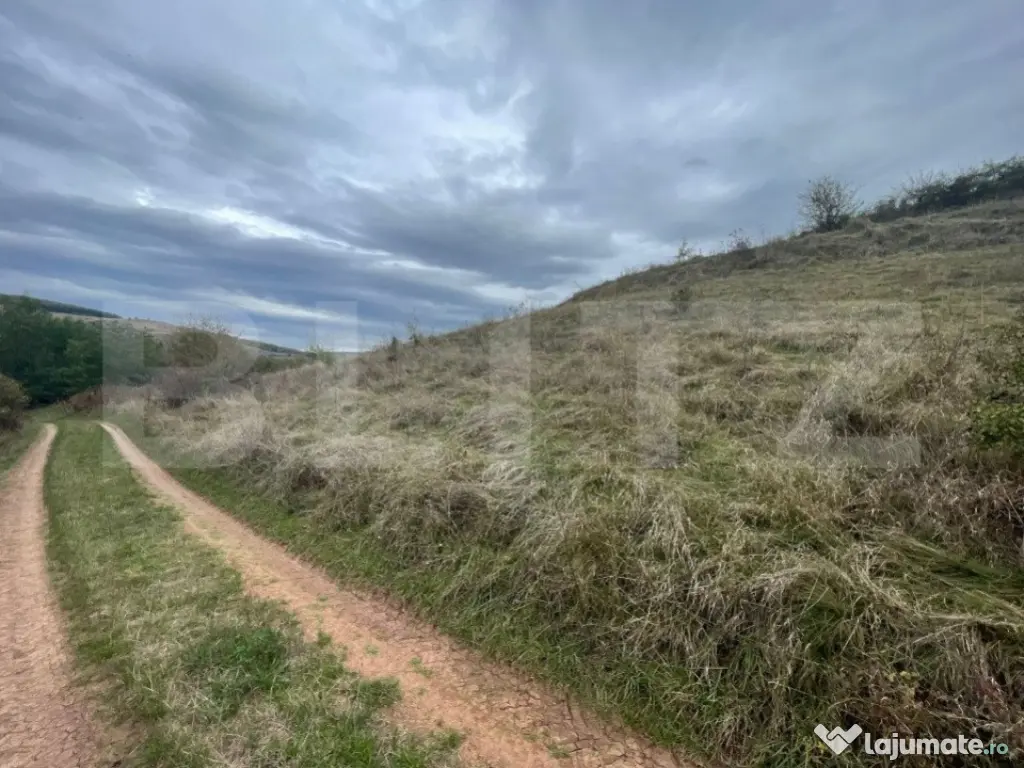 Teren Extravilan, 2800mp Perfect pentru Investitie