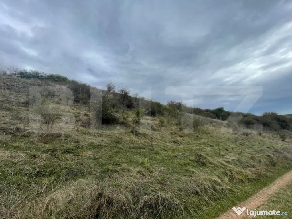 Teren Extravilan, 2800mp Perfect pentru Investitie