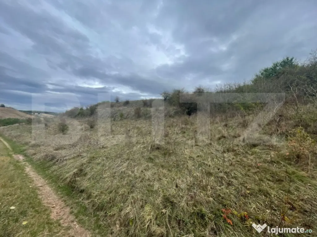 Teren Extravilan, 2800mp Perfect pentru Investitie