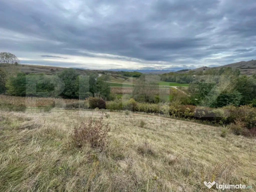 Teren Extravilan, 2800mp Perfect pentru Investitie