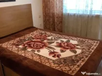 Apartament cu 2 camere in zona Cetatii