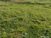 Nicolae Balcescu - Tulcea, teren cu deschidere 27 ml la drum 