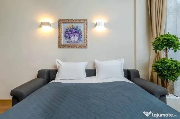Apartament o camera zona Buziasului