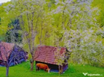 Teren intravilan agricol in Bran - Brasov