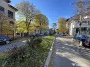 Vilă interbelica in Vatra Luminoasa, arh Toma Dobrescu 