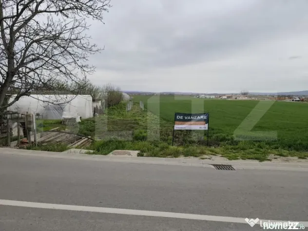 Teren 8600 mp în Podgoria - Oradea (Bihor)
