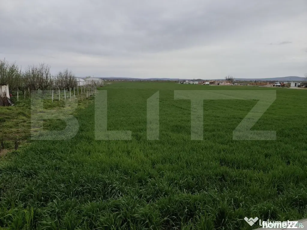 Teren 8600 mp în Podgoria - Oradea (Bihor)