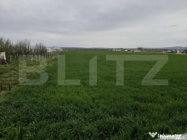 Teren 8600 mp în Podgoria - Oradea (Bihor)