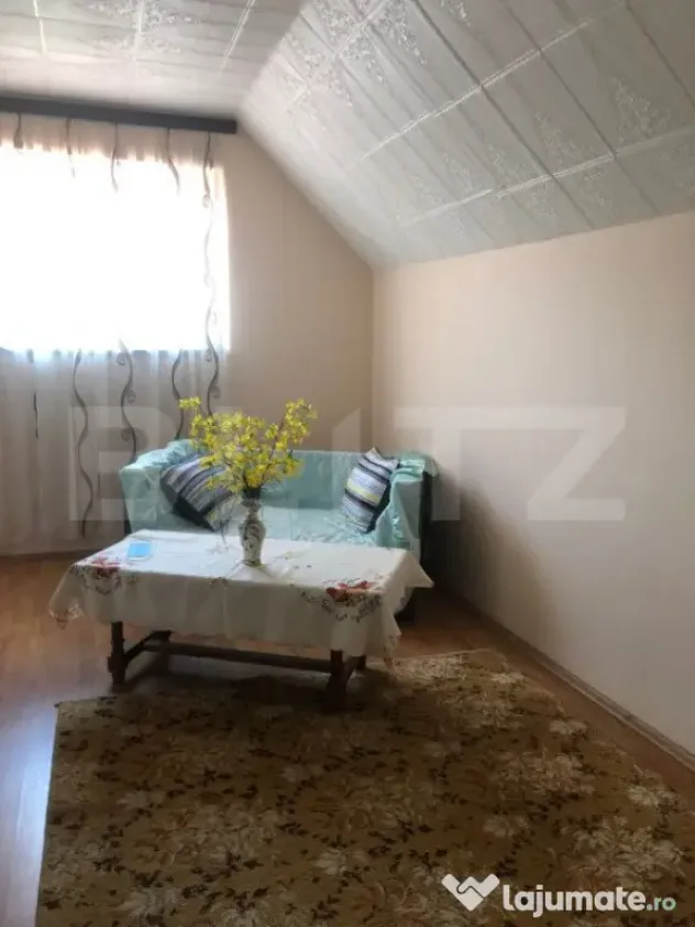 Vila 5 camere achizitie ideala pentru parinti sau familie